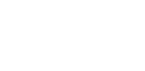 Provision Guitar