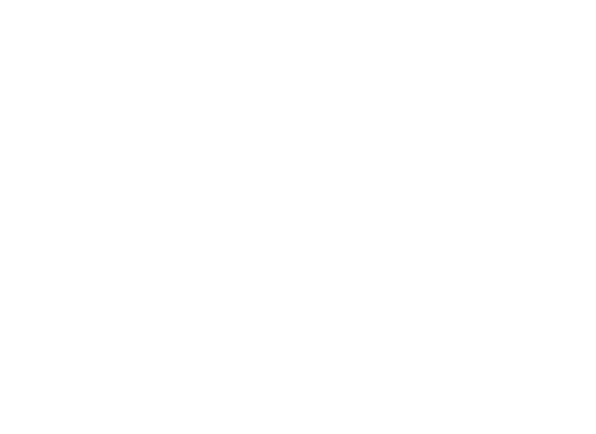 guitar01w